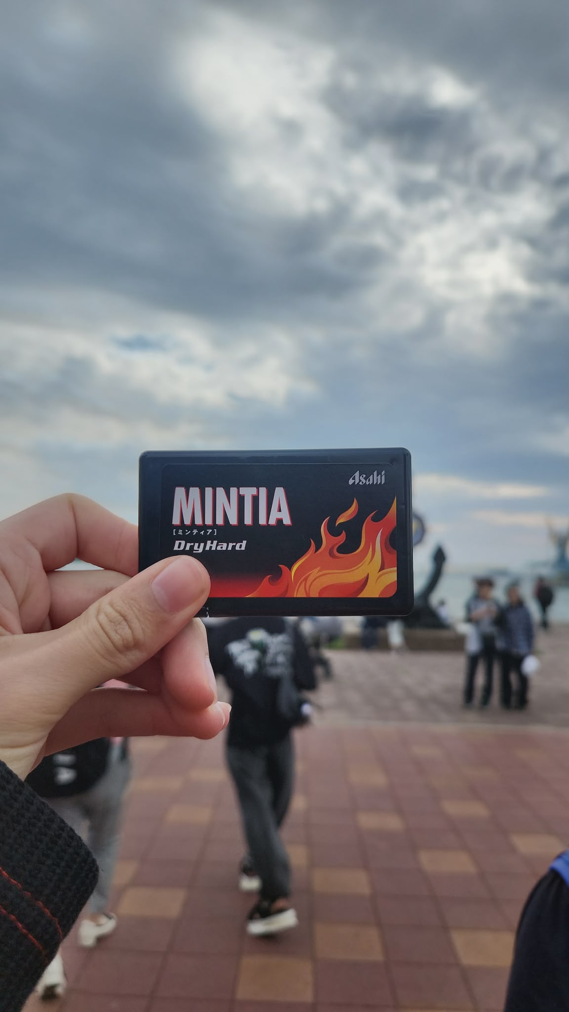 Holding a case of MINTIA Dry Hard mints